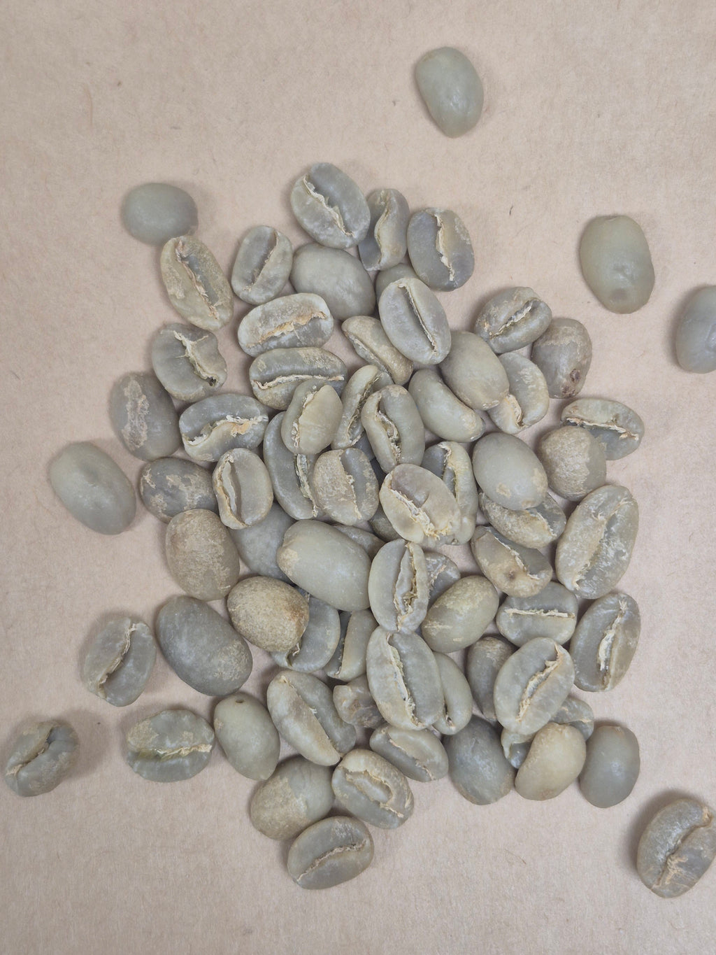 Yirgachefe Coffee Grade 2