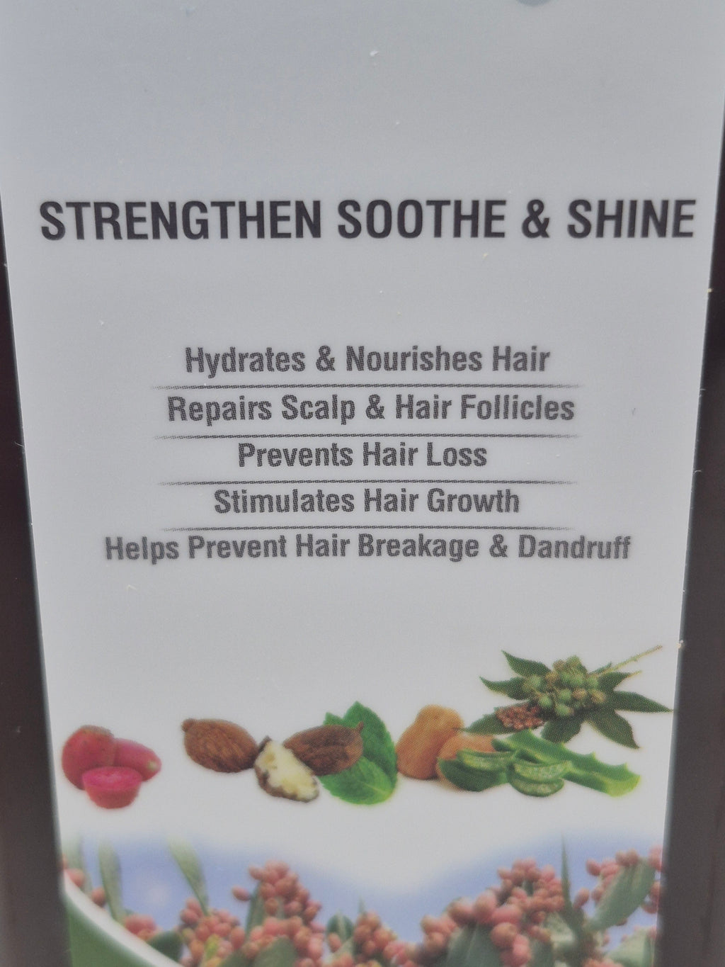 Agor Organic Shampoo